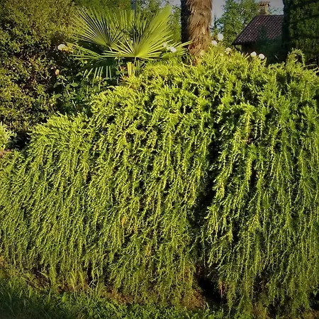 Cascina Creusa Bed & Breakfast Pocapaglia