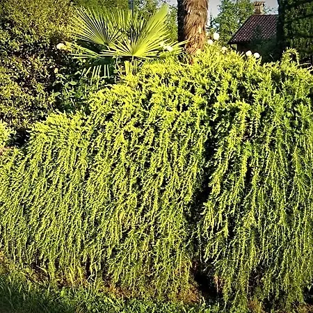 Cascina Creusa Bed & Breakfast