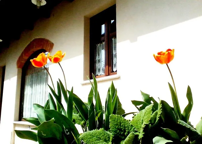 فندق مبيت وإفطار Cascina Creusa Pocapaglia